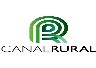 Canal Rural – Saiba como criar galinha caipira