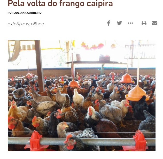 Estadão – Pela volta do frango caipira