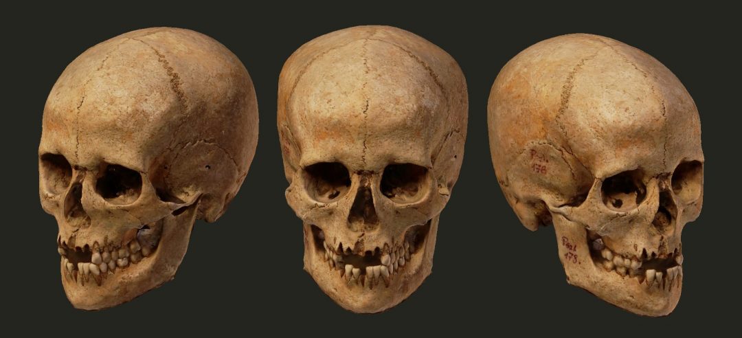 Importante achado arqueológico húngaro entre os séculos XI ou XII  terá a face revelada em 3D durante a Campus Party Brasil, no dia 15/02