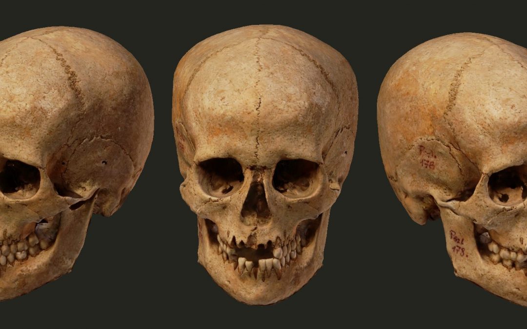 Importante achado arqueológico húngaro entre os séculos XI ou XII  terá a face revelada em 3D durante a Campus Party Brasil, no dia 15/02