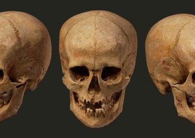 Importante achado arqueológico húngaro entre os séculos XI ou XII  terá a face revelada em 3D durante a Campus Party Brasil, no dia 15/02