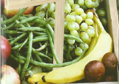 Benefícios da produção orgânica: saúde, meio ambiente e desenvolvimento é tema de “roda de conversa” na Casa Orgânica, no sábado dia 08/12 às 16h00